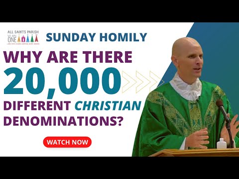 Why are there 20,000 Different Christian Denominations?  Sunday Homily 7.16.23 ~ Fr. Hollowell
