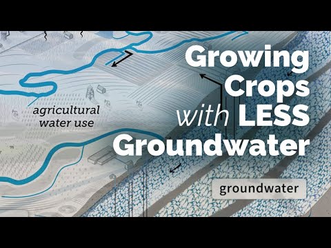 干ばつに悩まされている州は、少ない地下水で作物を栽培する新しい方法を使用しています
