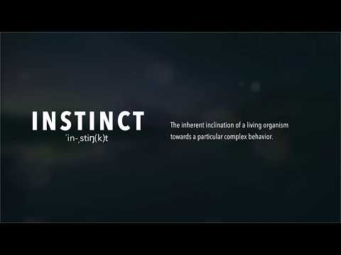 Free Download Instinc v1.0.1 VST2 VST3 x64 WiN