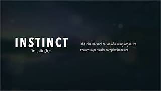 Video thumbnail for Introducing INSTINCT | Inertia Sound Systems by Inertia Sound Systems