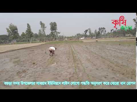 লাইন লোগো