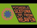 Red Hot Chili Peppers Psychedelic Sexfunk Live From Heaven VHS 1990