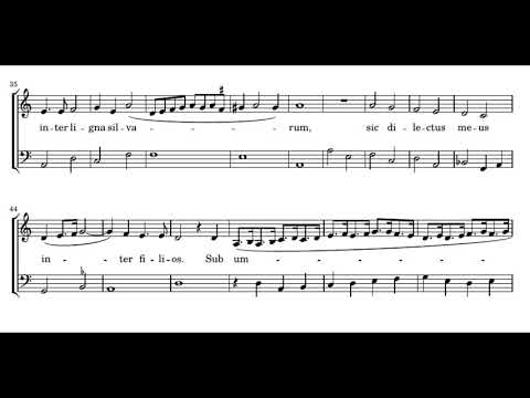 Monteverdi: Ego flos campi