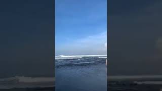 TikTok Viral #77 #tiktok #tiktokcompilation #bikinibodies