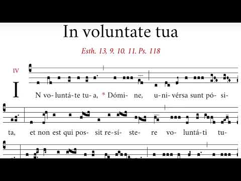 Introitus: In voluntate tua