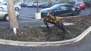 See Spot Run — Robo romp in the Playground