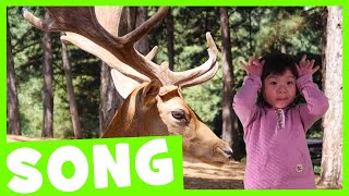 Forest Dance Song | Simple Animal Song for Kids