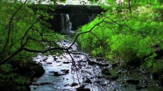 Sarah Fimm - Maryjane