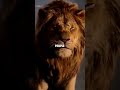 Sigma Rule Attitude Status WhatsApp Status Attitude Quotes Shorts Quotes Attitude