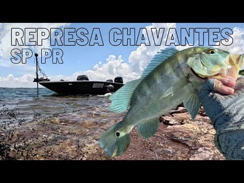 PESCARIA NA REPRESA DE CHAVANTES! EP.04