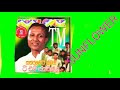 Sunflower With TM Jayarathna