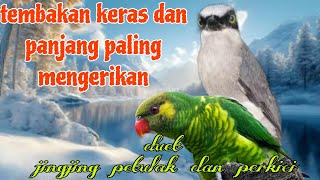 Download lagu Tembakan paling mengerikan 🔥🔥 jingjing petulak dan perkici mp3 Download lagu Tembakan paling mengerikan 🔥🔥 jingjing petulak dan perkici mp3