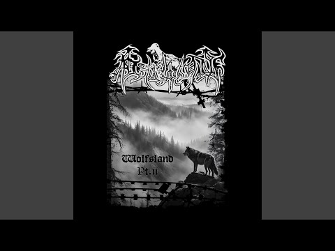 IV. Drang nach Vergeltung