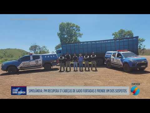 Simolândia: PM recupera 17 cabeças de gado furtadas e prende suspeito