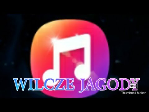Wafel-wilcze jagody (Official video)