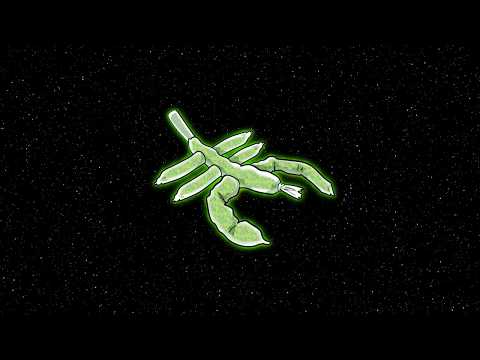 VACARM - Hallucination ft. Olivya (Official Audio)