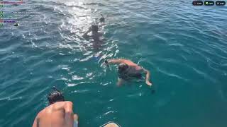 JON VLOGS NADANDO COM OS TUBARÕES EM FERNANDO DE NORONHA!