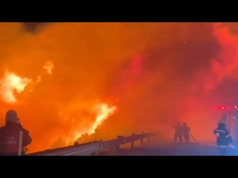 Mosselbay fires 2026 (Islandview/Aalwyndal/Vakansieplaas) 