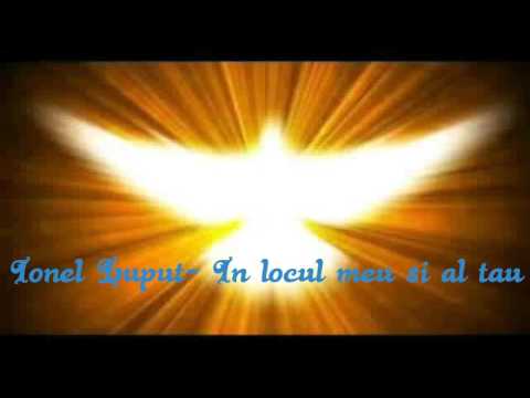 Ionel Luput- In locul meu si al tau