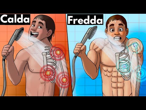 🛀 Here's what happens to you if you take a cold shower every day 🚿