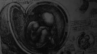 Broken & Burnt - Dead Womb