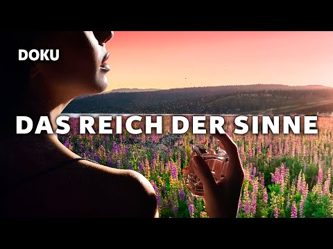 Das Reich der Sinne – Der Duft der großen weiten Welt (Doku-Reihe Sinnesorgane, ganze Doku  Deutsch)