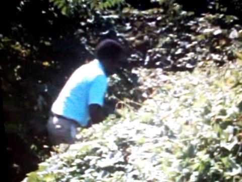 Grey Gardens -Little Edie   Line between the Past and the Present