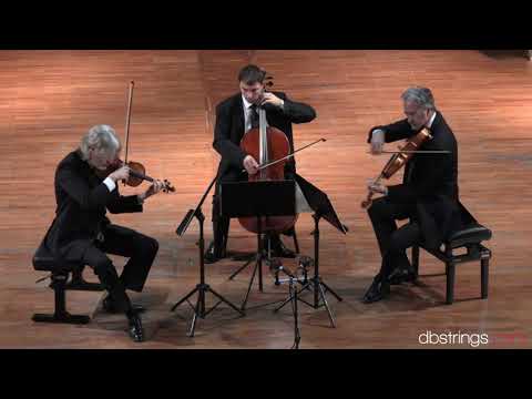 Nuovo Trio Italiano d'Archi - Boccherini Trio in re maggiore op. 14 n. 4 G. 98