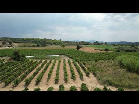 Κτήμα Μπριντζίκη | Ηλεία