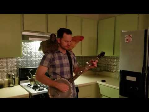 Vega Fairbanks Imperial Electric banjo image 6