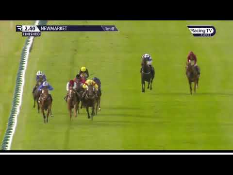 Race (3) 14:40 Newmarket 07 Oct 2023