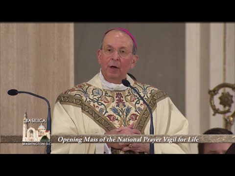 Opening Mass of the National Prayer Vigil - 2022-01-20 - Opening Mass and Holy Hour of the National