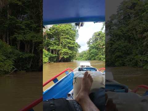 Rio moa veio largado, indo ali em direção a serra do divisor. #acre #manciolima #cruzeirodosul