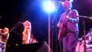 The New Pornographers- The Bones of An Idol