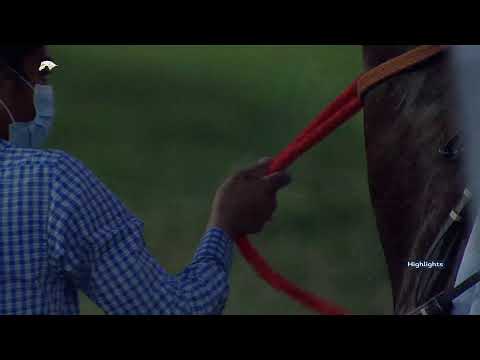 7th Race Meeting - Umm Al Houl Cup - Season 2020/2021