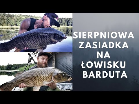 Sierpniowa zasiadka na łowisku Barduta 2020
