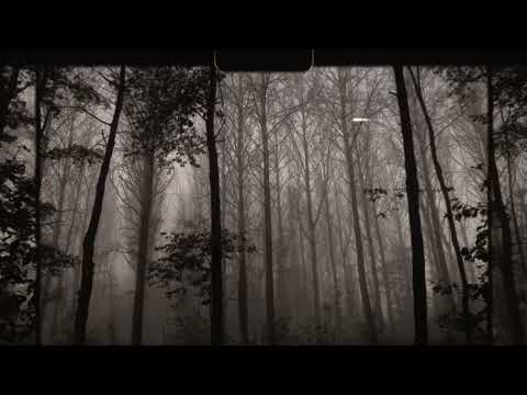 Save Our Souls - Jan Kalter