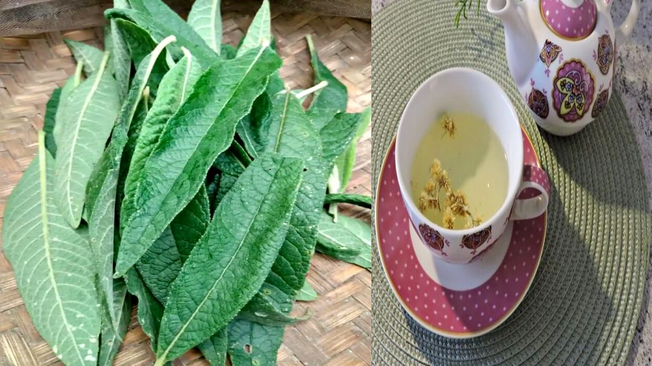 Dissolve Pedras nos Rins, Acaba com Cisto, Infecção, Incontinência, Inflamação💖MARILENE SARAH FIALHO