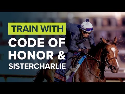 BREEDERS' CUP 2019: ELATE, SISTERCHARLIE, CODE OF HONOR