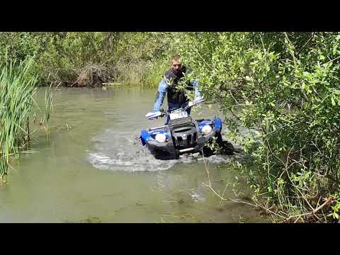 Die Wasserratten 🐳🐬 von den Quadjunkie's MV