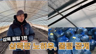2021년 겨울 삽목 꿀팁! 1편