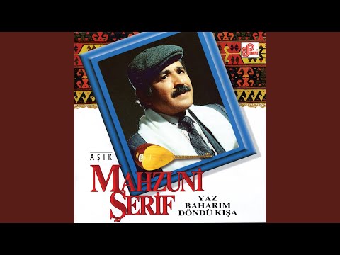 Video Yükleniyor...