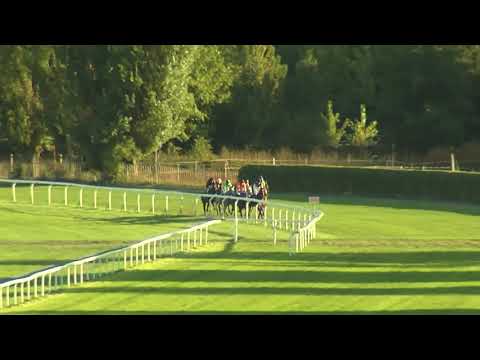 8. dostih - Cena paddocku - Videozáznam Zářijového handicapu 2018 v Chuchli