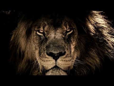 Alberto Cobo plays Mephisto Vals by Liszt