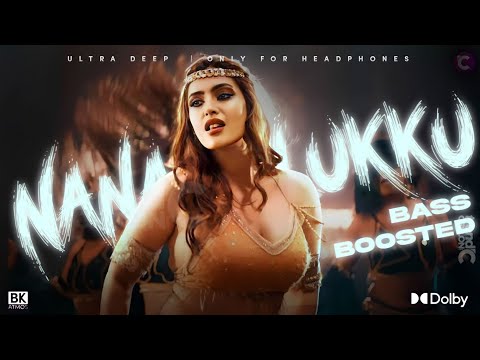 Nana Bulukku | Bass Boosted | Pichaikkaran 2 | Vijay Antony | Saindhavi | 320 kbps