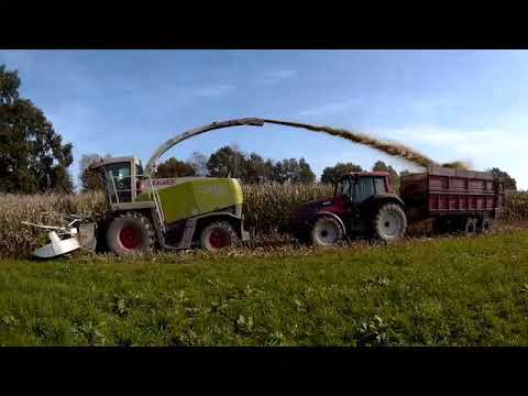 ✩KUKURYDZA NA KISZONKĘ 2020✩JOHN DEERE7530✩CASE1255XL✩5150 956XL✩VALTRA✩CLAAS JAGUAR✩