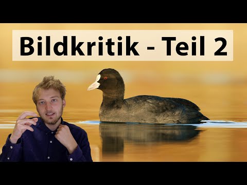 Bildkritik Teil 2 - Ich gebe Feedback zu euren Fotos