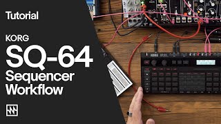 Video thumbnail for Tutorial: Korg SQ-64 Sequencer Workflow & Demo by Noisegate
