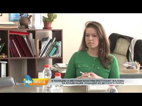Новости Псков 16.03.2017 # Жалобы на владельцев лошадей в Детском парке