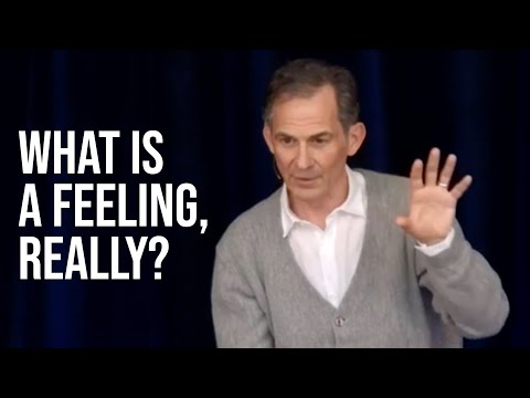 Understanding Our Thoughts, Emotions, Feelings and Perceptions